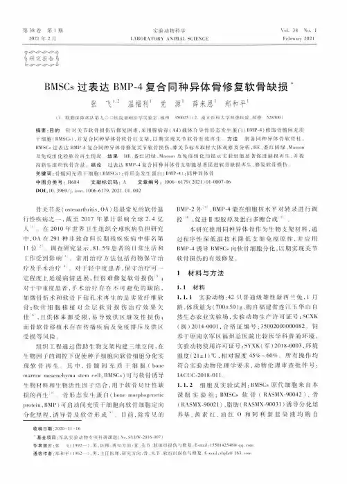 BMSCs过表达BMP-4复合同种异体骨修复软骨缺损