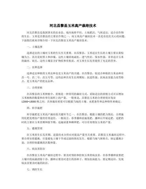 河北昌黎县玉米高产栽培技术