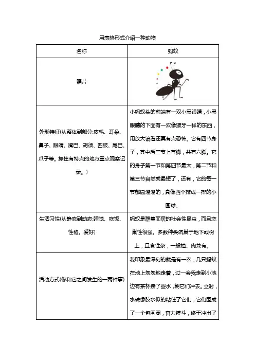 用表格形式介绍一种动物