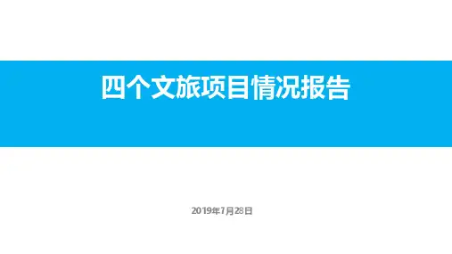 201907成都资阳佛山南充城市进入分析56p