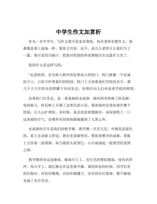 中学生作文加赏析