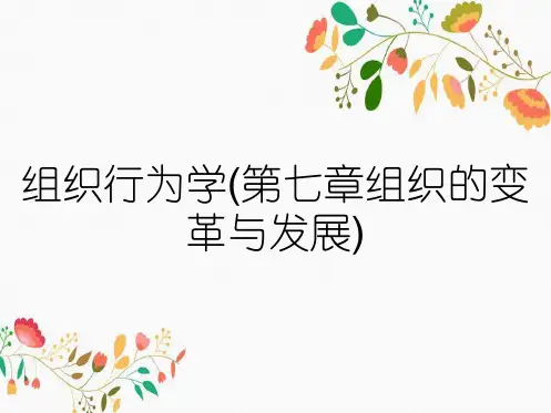 组织行为学(第七章组织的变革与发展)