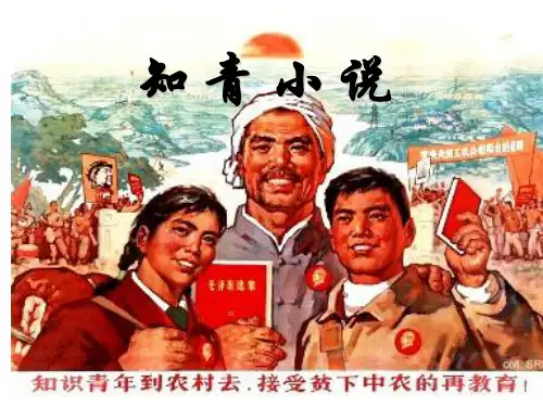 知青小说