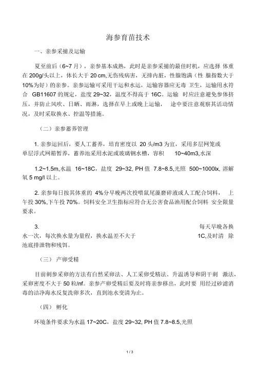 刺参育苗1