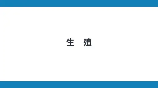 第九版生理学第十二章 生殖
