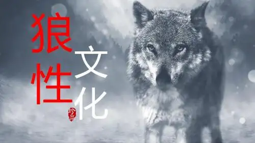 狼性文化狼道精神员工培训学习PPT模板