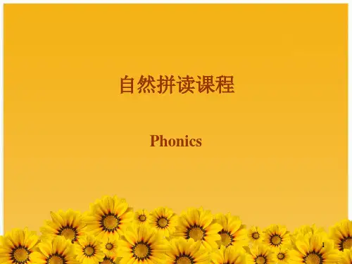 自然拼读全册ppt课件
