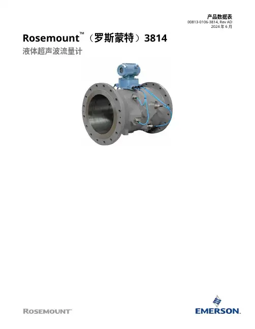 艾默生 Rosemount 3814液体超声波流量计 数据表