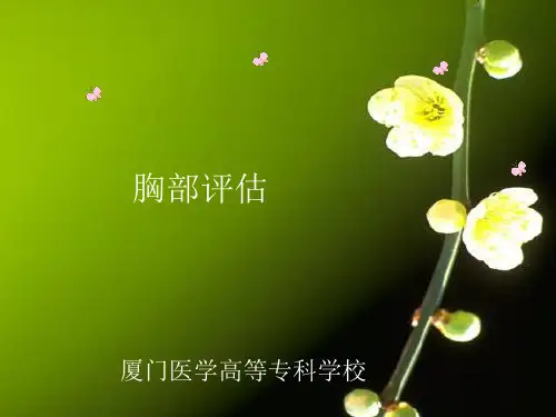 胸部评估正式版本
