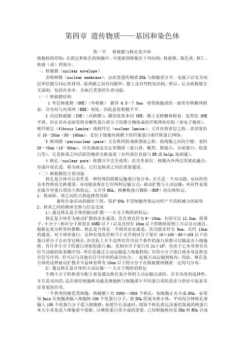 4第四章遗传物质-基因和染色体