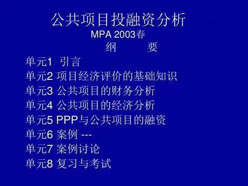 公共项目投融资综合分析(ppt 43页)