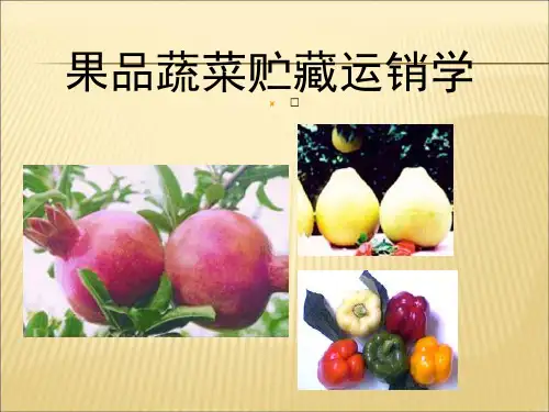 【课件】果品蔬菜贮藏运销学-1精品版