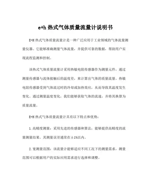 e+h热式气体质量流量计说明书