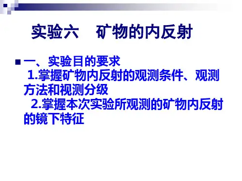 实验六  矿物的内反射