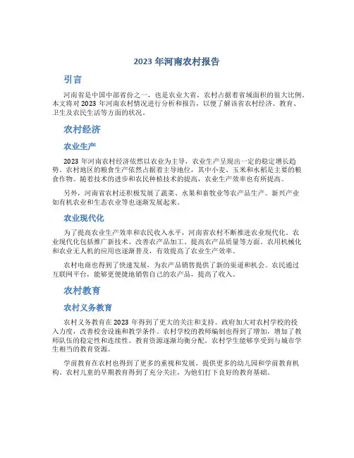 2023年河南农村报告