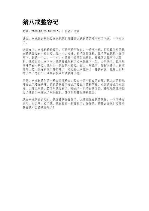 猪八戒整容记