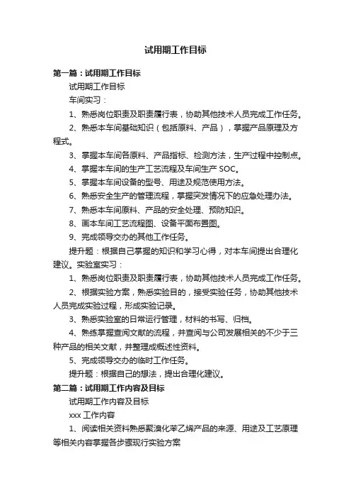 试用期工作目标