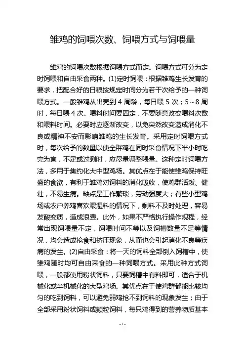 雏鸡的饲喂次数、饲喂方式与饲喂量