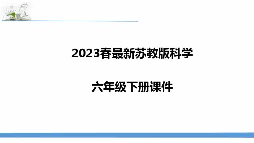 最新苏教版六年级下册科学10.煤、石油和天然气 课件
