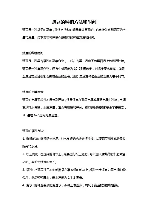 豌豆的种植方法和时间