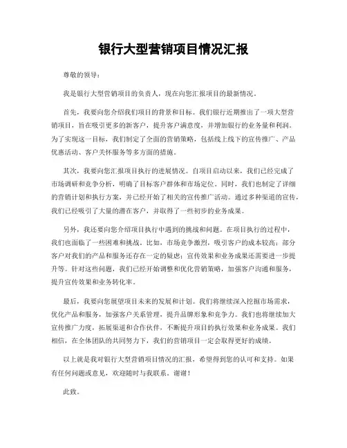 银行大型营销项目情况汇报