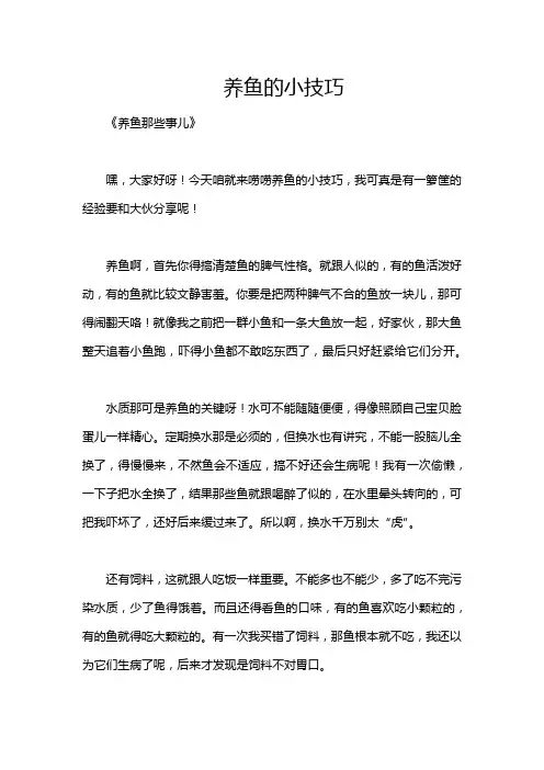 养鱼的小技巧