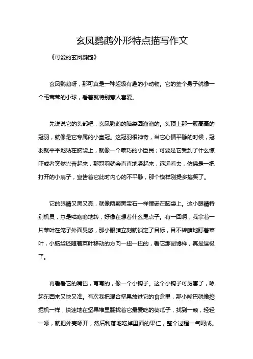 玄凤鹦鹉外形特点描写作文