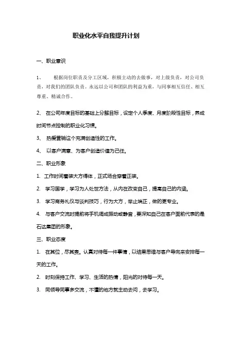 职业化水平自我提升计划