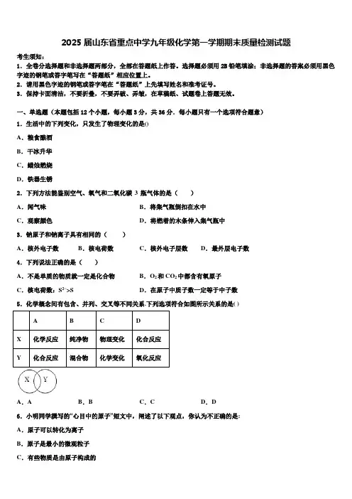 2025届山东省重点中学九年级化学第一学期期末质量检测试题含解析