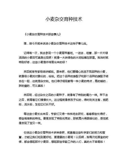 小麦杂交育种技术