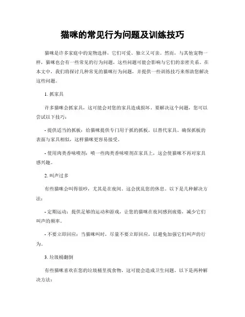 猫咪的常见行为问题及训练技巧