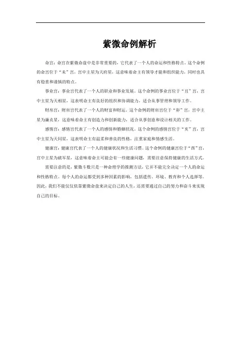 紫微命例解析