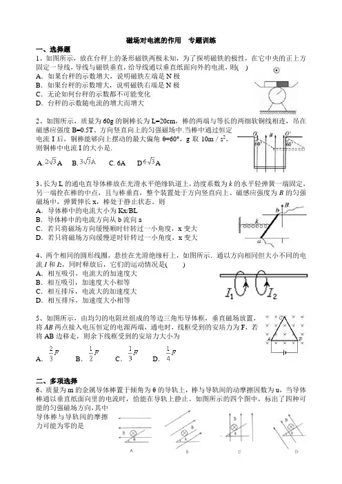磁场对电流的作用  专题训练