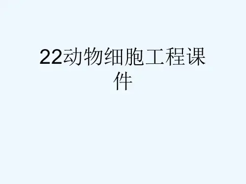 22动物细胞工程课件[可修改版ppt]