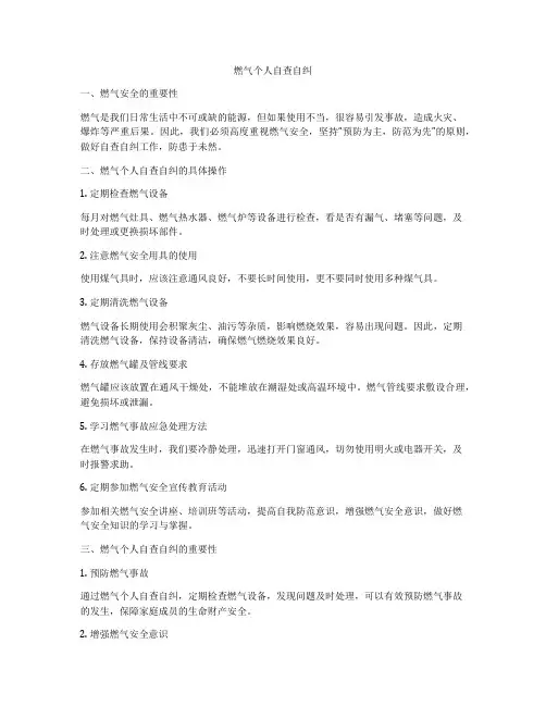 燃气个人自查自纠