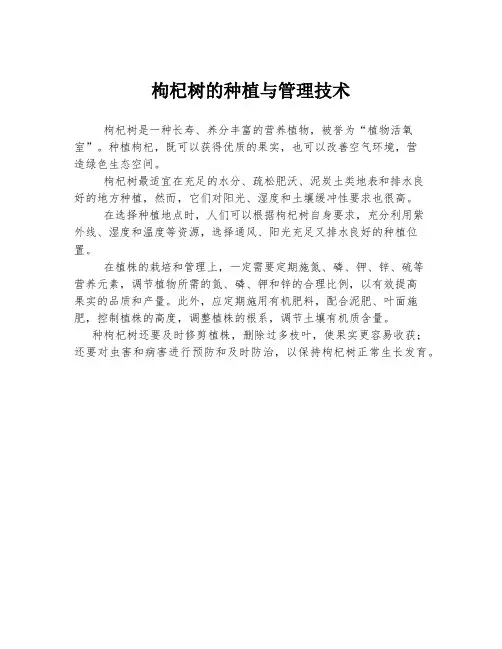 枸杞树的种植与管理技术