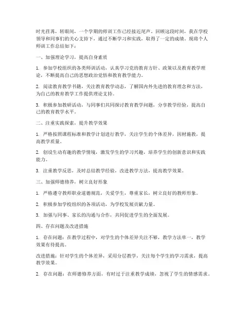 师训工作总结个人