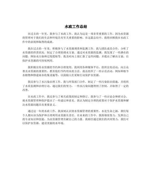 水政工作总结