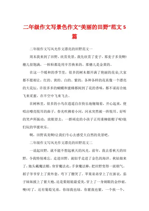 二年级作文写景色作文“美丽的田野”范文5篇