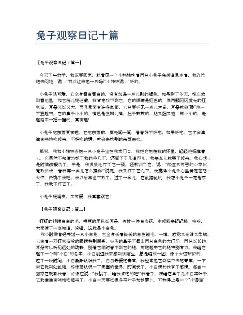 兔子观察日记十篇