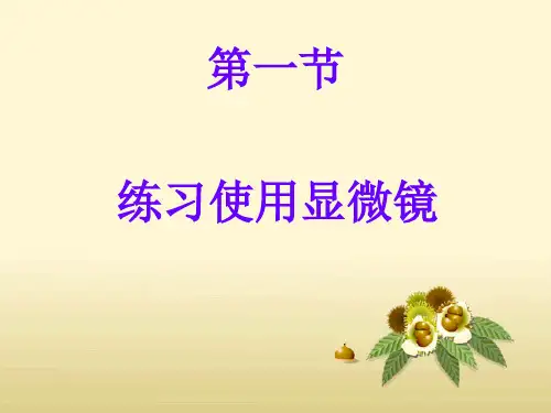 练习使用显微镜_教学课件1