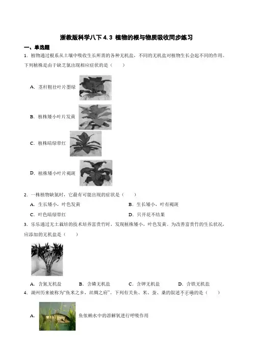 4.3 植物的根与物质吸收同步练习--2022-2023学年浙教版科学八年级下册