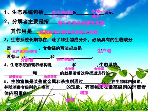 八年级生物下册 6.2.3 能量流动和物质循环课件1级下册生物课件