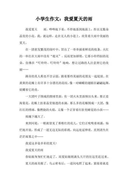 小学生作文：我爱夏天的雨