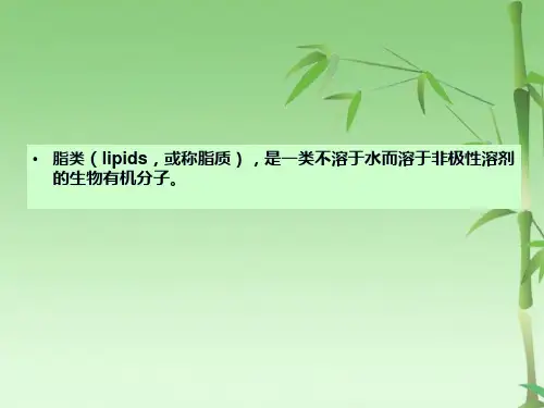 第九章脂类代谢的合成与分解(共51张PPT)