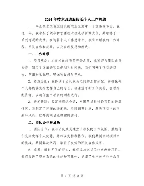 2024年技术改造股股长个人工作总结