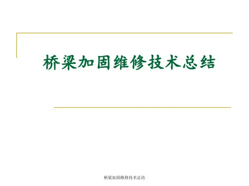 桥梁加固维修技术总结 ppt课件