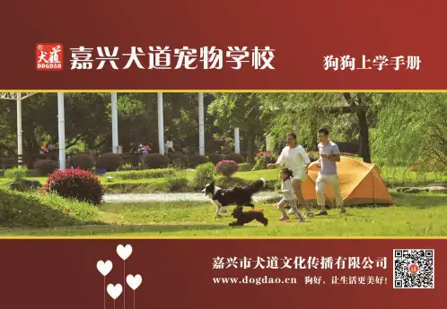 犬道宠物学校宠物训练培训方案