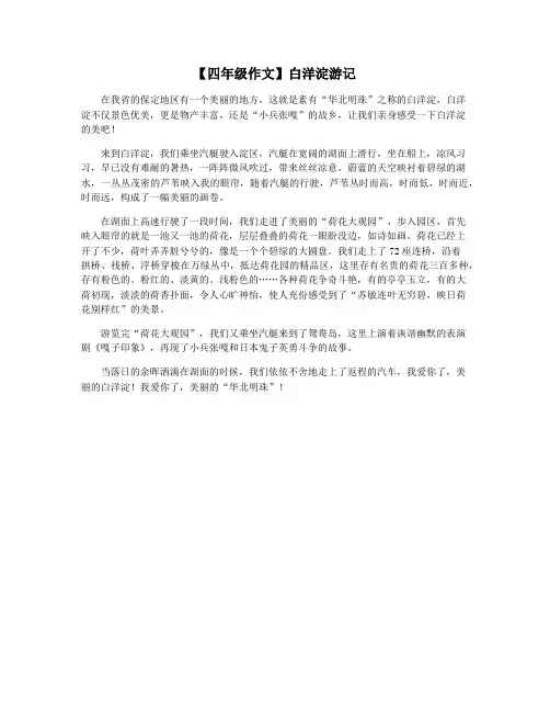 【四年级作文】白洋淀游记