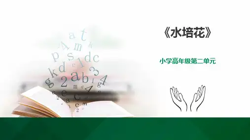 《水培花》小学高年级综合实践PPT课件